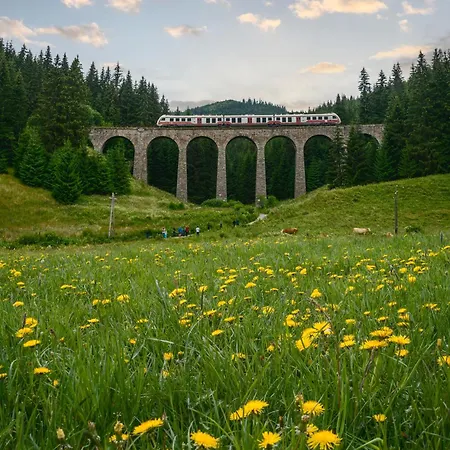 Apartament V Chate Besnik -